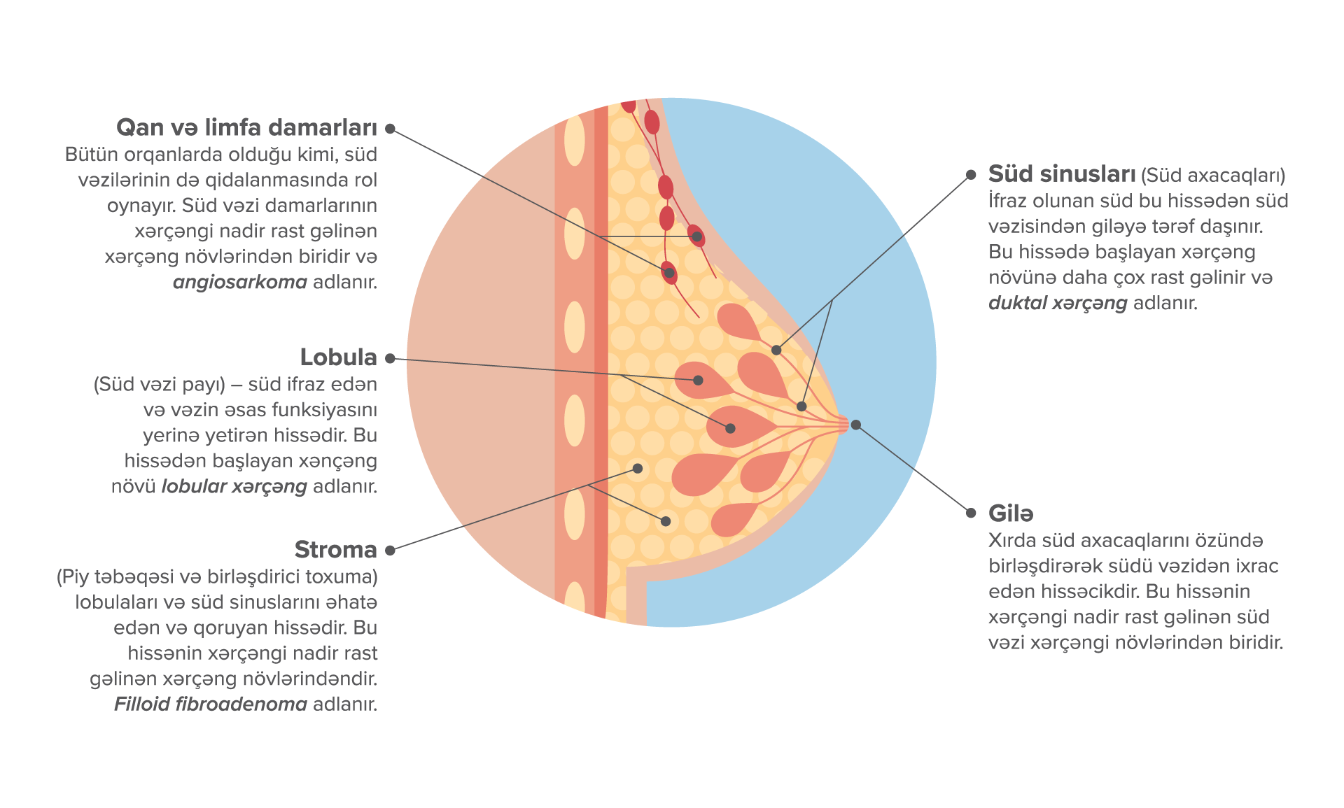 Pink October – Global Breast Cancer Awareness Month