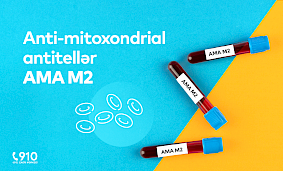 Anti-mitoxondrial antitellər (AMA M2) analizi nədir?