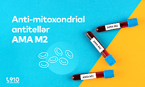 Anti-mitoxondrial antitellər (AMA M2) analizi nədir? Anti-mitoxondrial antitellər (AMA M2) analizi nədir?