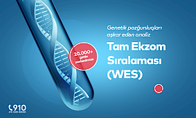 Tam Ekzom Sıralaması (WES) analizi nədir və nə zaman verilə bilər? Tam Ekzom Sıralaması (WES) analizi nədir və nə zaman verilə bilər?